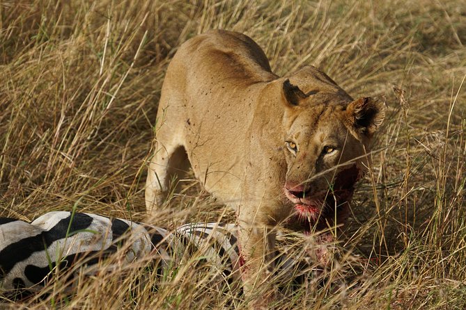 6 Days Migration Crossing in Mara River Northern Serengeti - Booking and Cancellation Policies
