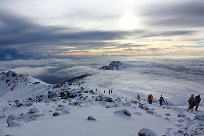 6 Days Mount Kilimanjaro Climbing via Rongai Route - Reviews