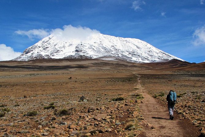 6 Days Mount Kilimanjaro Machame Route Climb - Booking Information