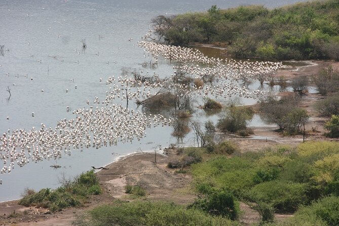 6 Days Off-Road Motorbike Wildlife Tour of the Great Rift Valley Lakes - Booking Information