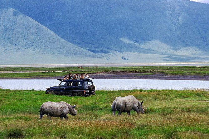 6 Days Private Safari Tour Tanzania - Itinerary Highlights