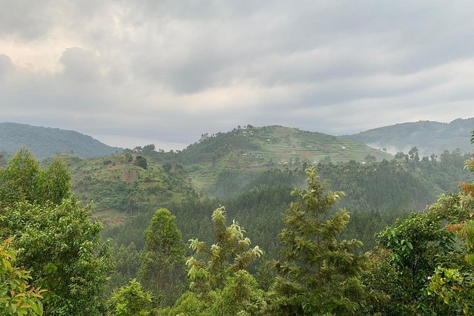 6 Days Rwanda Uganda Budget Wildlife Safari - Expectations and Requirements