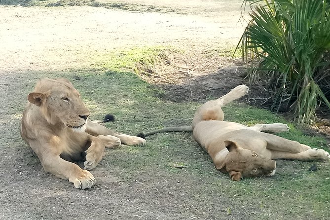 6 Days Safari to Mikumi Np, Udzungwa Mountain NP and Nyerere NP (Selous GR) - Additional Information and Recommendations