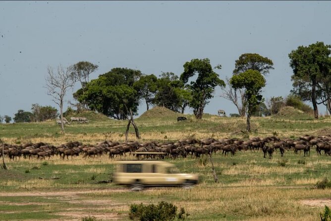 6 Days Serengeti Budget Safaris - Transportation Information