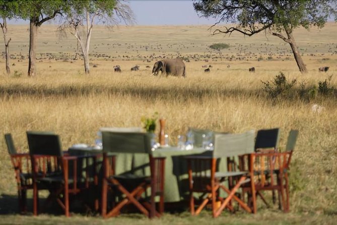 6 Days Serengeti Migration Safari - Safari Guides and Vehicles