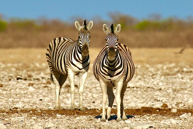 6 Days Sossusvlei, Swakopmund and Etosha NP Camping - The Sum Up