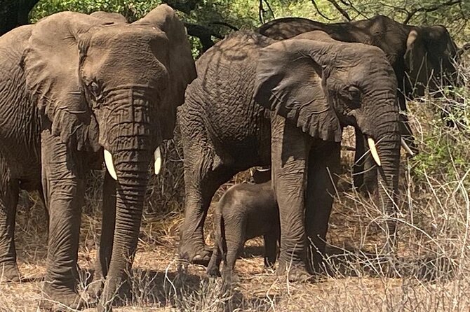 6 Days Tanzania National Parks Tour - Meals Included