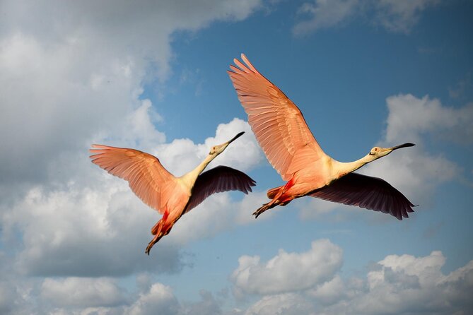 6 Days Tanzania Northern Circuit Safari - Wildlife Encounters