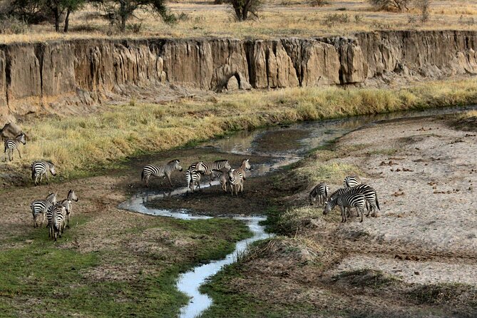 6 Days the Best of Tanzania Private Safari - Safety and Guidelines