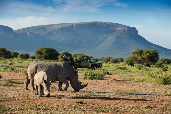 7-Day Cape Town and Karongwe Private Safari Package - Included Activities