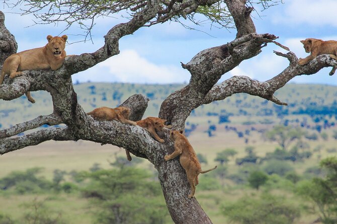 7-Day Kilimanjaro Climb Machame Route - Packing List