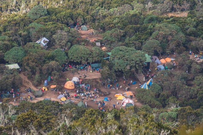 7 Day Kilimanjaro Machame Climb - Cancellation Policy