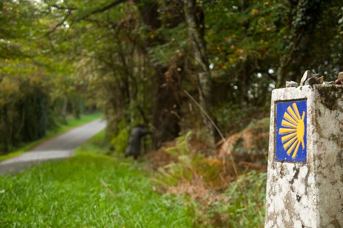 7-Day Portuguese Camino De Santiago Tour From Tui - Pricing and Reviews