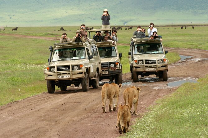 7-Day Private Migration Safari in Tanzania - Pickup and Meeting Details