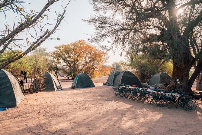 7 Day Taste of Namibia Lodging Safari - Pickup and Meeting Information
