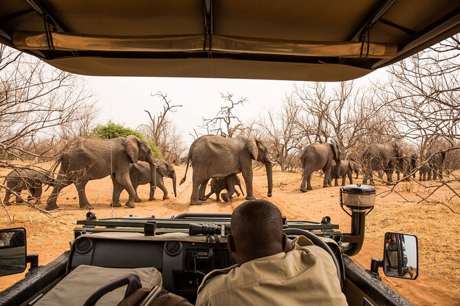 7-Day Tour to Zimbabwe National Parks, Falls & Chobe NP - Dining Options