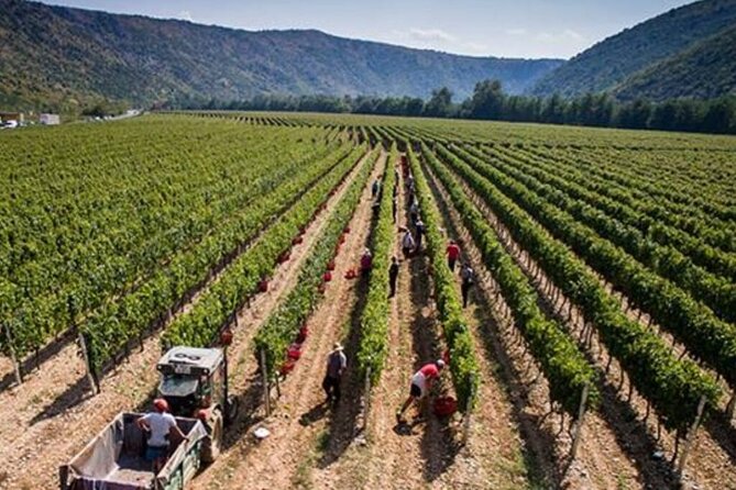 7-Day Wine Tour and Horseback Riding for Small Group in Bosnia - Cancellation Policy