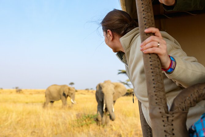 7 Days Cultural and Wildlife Safari - Transportation Logistics