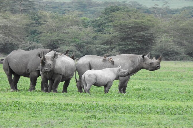 7 Days Elephant Safari Experience in Arusha