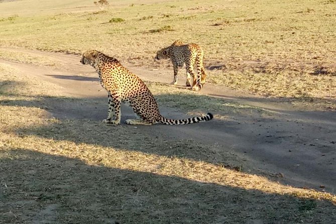 7 Days in Masai Mara- Lake Nakuru- Lake Naivasha- Amboseli National Park - Transportation Details