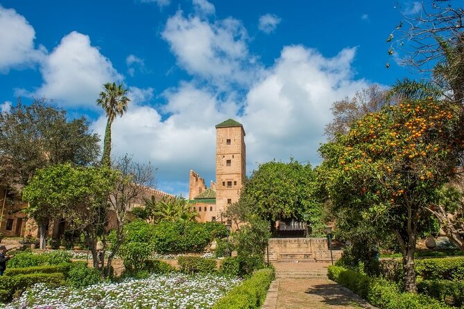 7 Days in Morocco : Explore Northern Morocco Tangier, Chefchaouen, Fes, Rabat - Customer Reviews