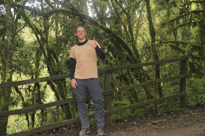 7 Days Machame Route Kilimanjaro Hiking ( Climbing ) Tour - Logistics and Meeting Points