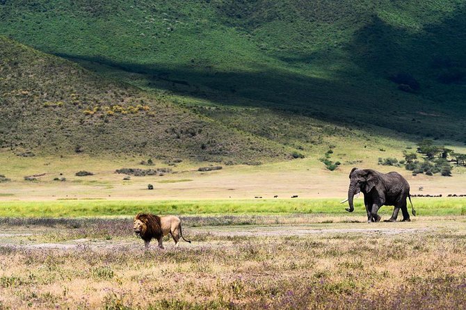 7 Days Migration Safaris -Lodge - Cancellation Policy