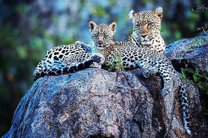 7 Days Rhino Ngorongoro Crater Safari Tour - Frequently Asked Questions