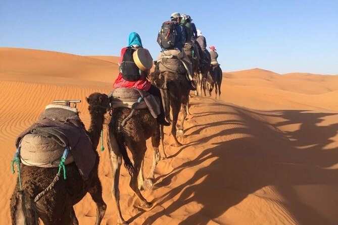 7 Days Tour From Casablanca Visiting Chefchaouen, Fes and Desert, - Pricing and Ratings