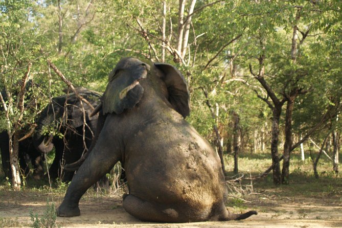 7days/6nights Eco Tourism - Frequently Asked Questions