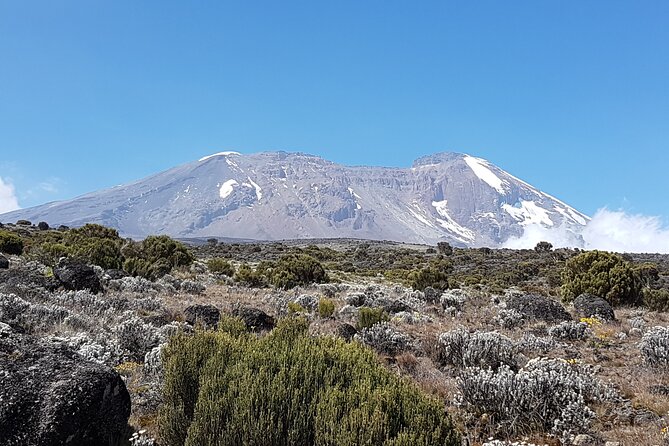 8 Day Kilimanjaro Lemosho Climb - Day 5: Lava Tower to Barranco Camp