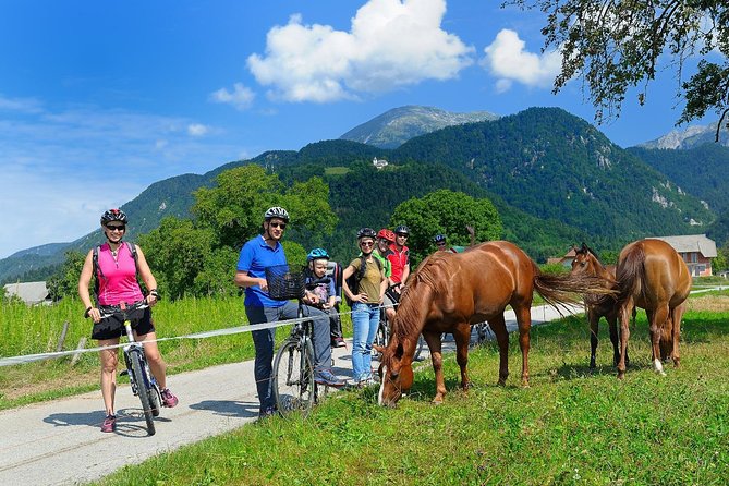 8-Day Lake Bled Pokljuka and Radovljica Private Cycling Tour - Operating Hours