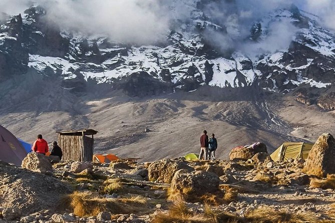 8-Day Lemosho Route Group Hiking on Kilimanjaro - Health and Safety Guidelines