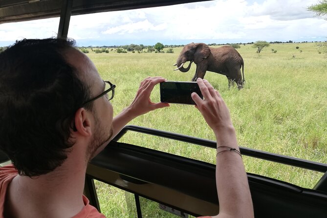 8-Day Private Guided Tanzania Safari With Pick up - Reviews