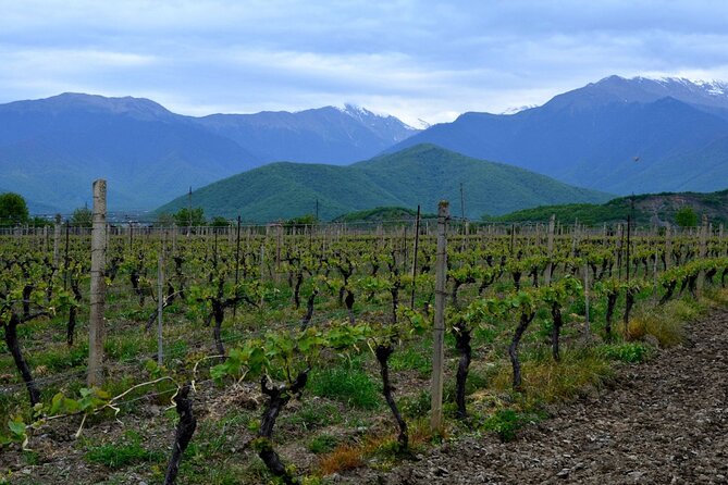8-Day Small-Group Sightseeing Tour of Georgia - Dining Experiences