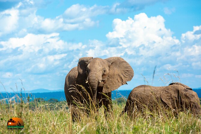 8 Days Gorillas, Primates & Wildlife Safari Uganda Safari - Gorilla Trekking Experience