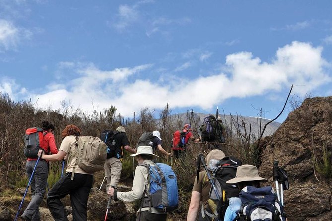8 Days Kilimanjaro Climbing - Lemosho Route - Reviews and Ratings