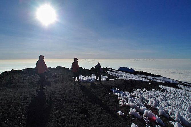 8 Days Lemosho Route Climbing - Customer Reviews