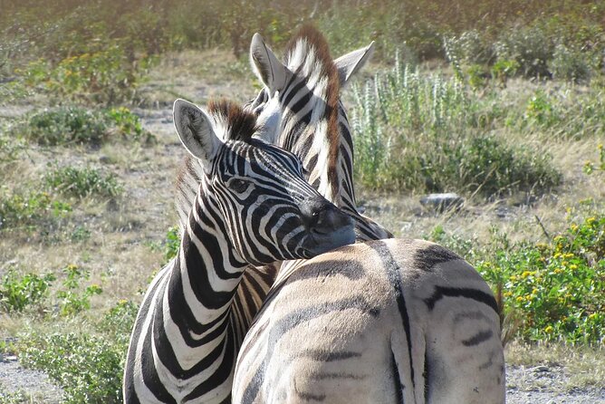 8 Days Mighty Zambezi Expediton in Victoria Falls & Hwange Safari