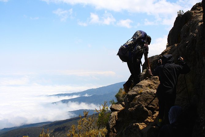 8 Days Mount Kilimanjaro Northern Circuit