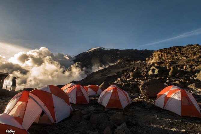 8 Days Mt Kilimanjaro Climb - Lemosho Route - What To Expect