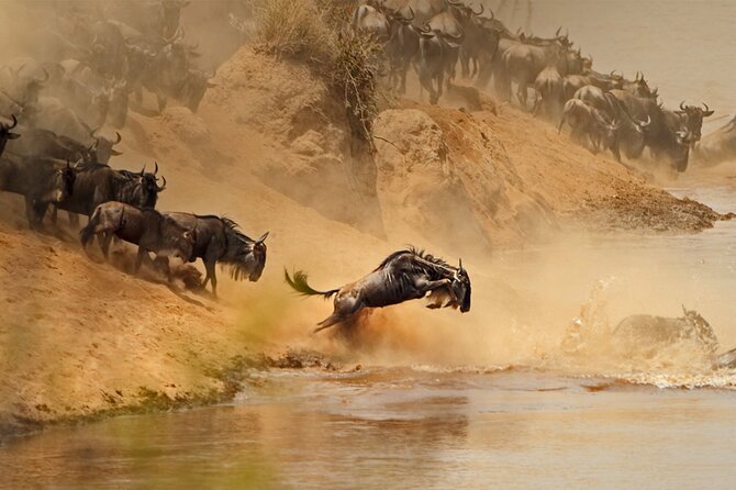 8 Days Private Tour Around Serengeti and Arusha - End Point Details