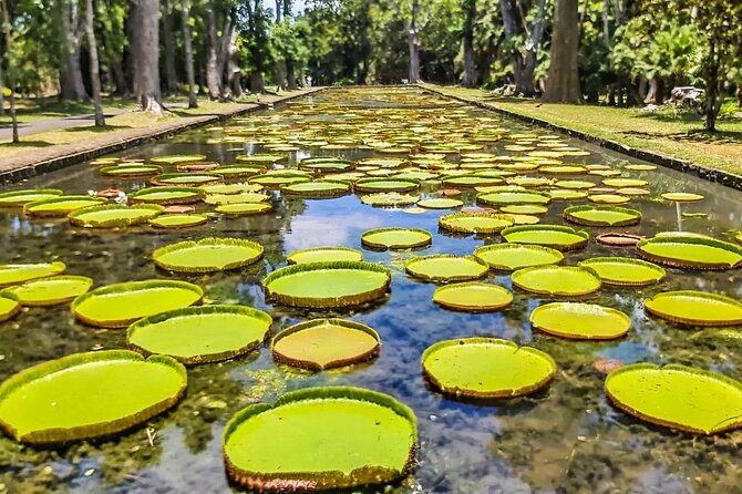 8-Hour Private City and North Tour in Mauritius - The Sum Up
