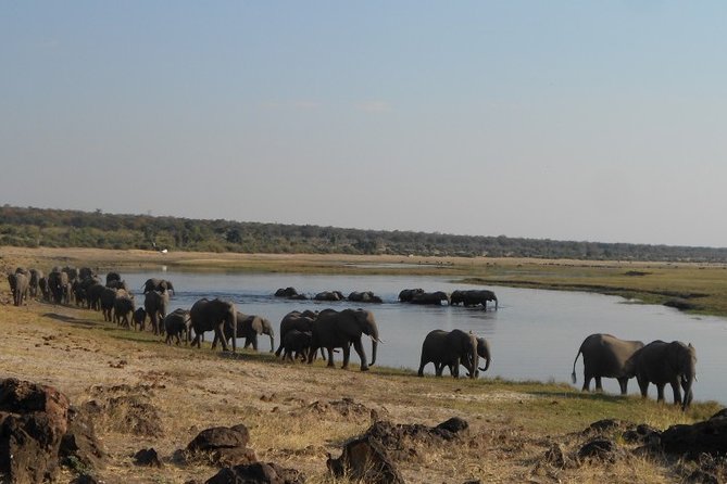 9 Day Best Of Northern Botswana & Victoria Falls - Mix of WildCamping & Lodges - Camping Experience