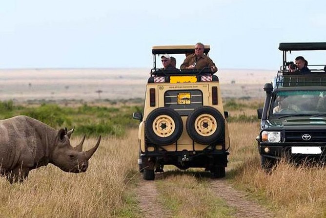 9-Days Best Kenya Wildlife Private Family Safari From Nairobi - Dining Experiences