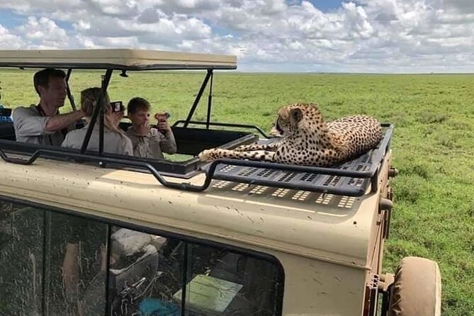 9 Days Budget Lodge Safari Tour - Pickup and Logistics