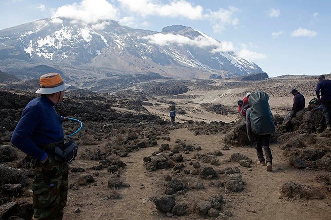 9 Days Kilimanjaro Hiking [ Climbing ] via Northern Circuit Route - Highlights of the Northern Circuit Route