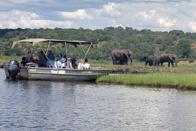 A Chobe Full Day Tour - Botwana - Customer Reviews