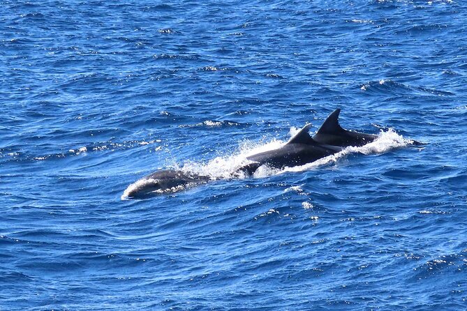 A Days 3-Island Cruise Tour With Transfer - Customer Reviews