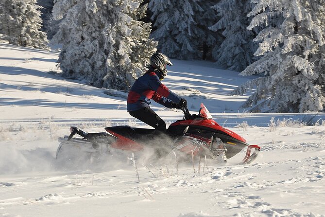 A Snowy Day Trip From Kutaisi, Discover Winter Magic in Georgia - Scenic Snowy Landscapes